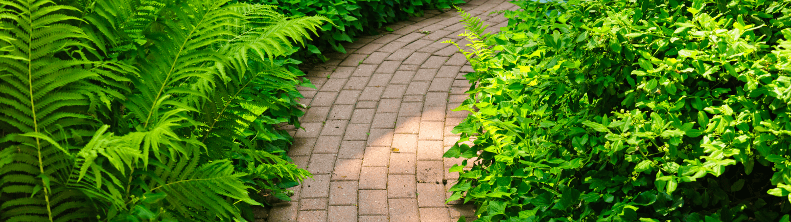 Paved Garden Path in Vincent WA